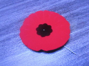 11th Nov 2022 - Remembrance Day - Lest we forget