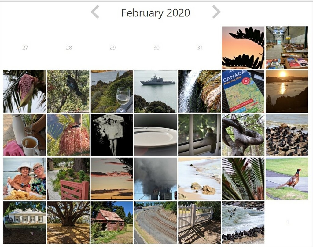 3 2020 Feb Project 365 by sandradavies