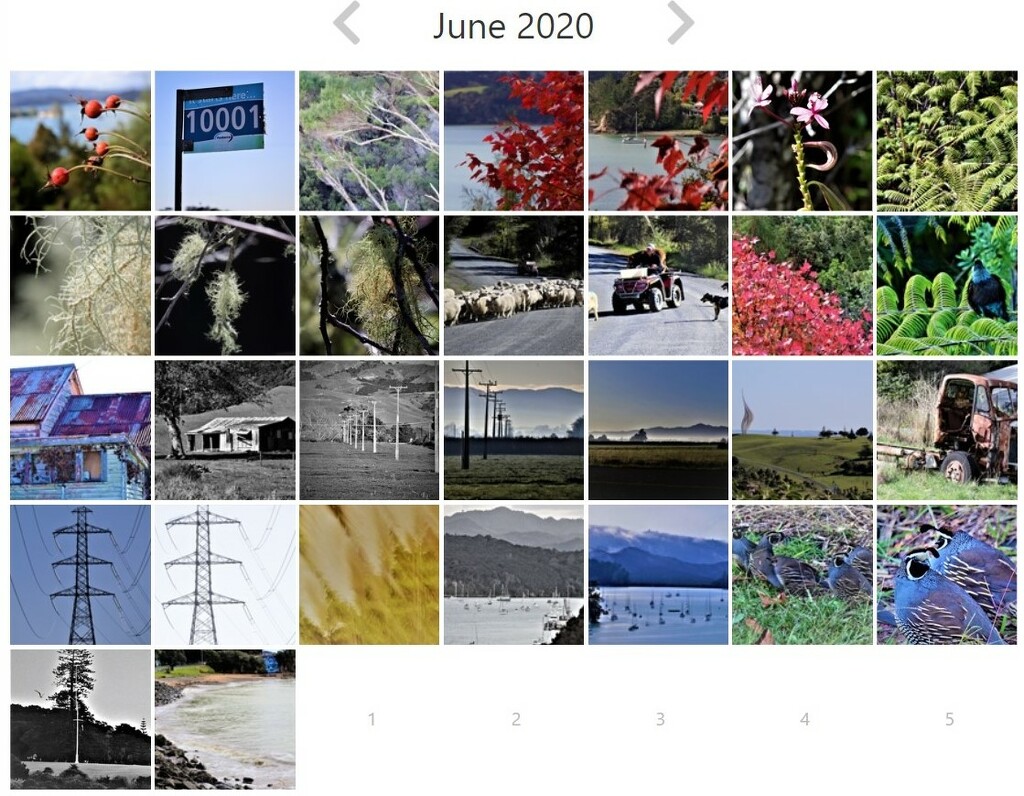 7 2020 June Project 365 by sandradavies