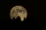 8th Nov 2022 - Beaver Full Moon