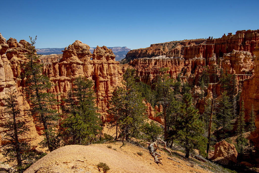 Blue Sky And Red Rocks by cwbill