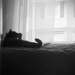 Cat Nap by pej76