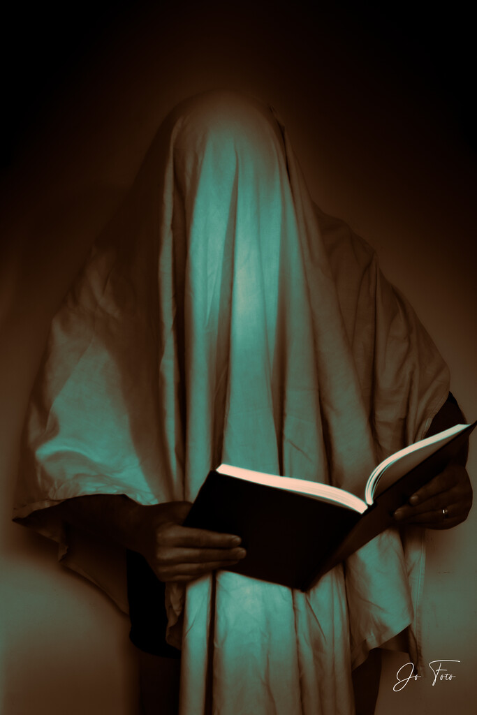 ghost reader by jo63