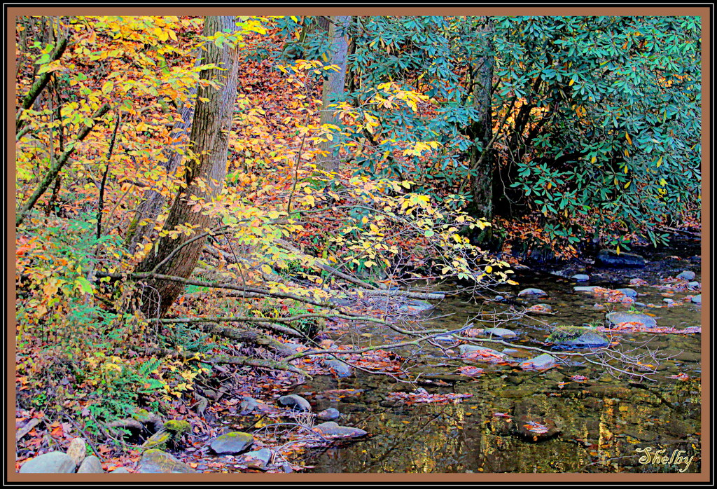 Stream in the Cade Cove by vernabeth