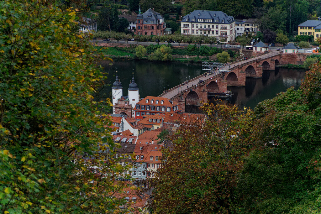 1106 - Looking down on Heidelberg by bob65