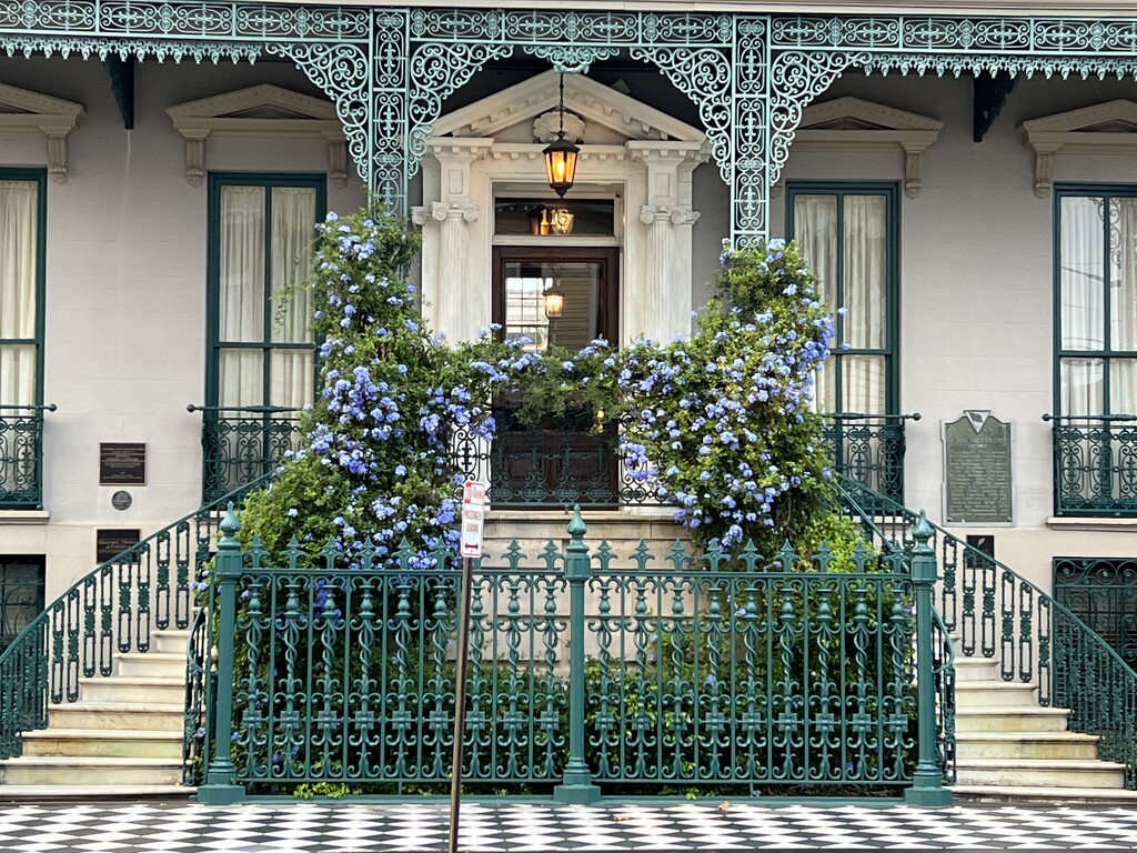 Historic home with plumbago wreath, Charleston,SC by congaree