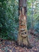 8th Nov 2022 - A sculpture of the Green Man, Lesnes Abbey Wood. 