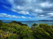 25th Oct 2022 - From Matiu Somes Island. 