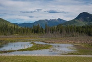 25th Aug 2022 - Toad River, British Columbia