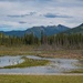 Toad River, British Columbia by mgmurray