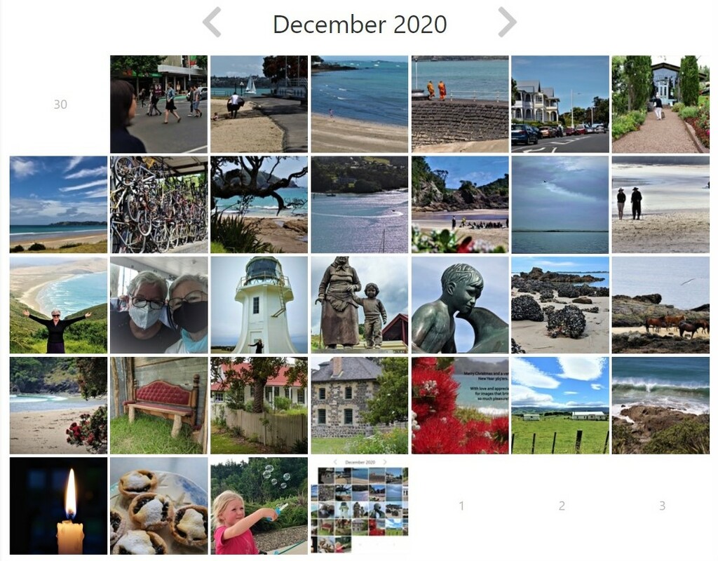 13 2020 Dec Project 365 by sandradavies
