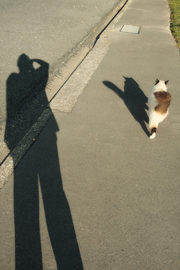 Me and My Shadow by helenw2
