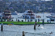 13th Nov 2022 - Uneven playing field! Aqua Rugby in Manly, Sydney Harbour. 
