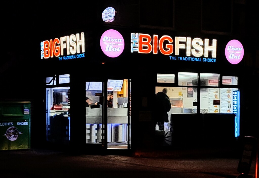 The Big Fish  by boxplayer