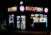 11th Nov 2022 - The Big Fish 