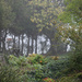 Autumn in the garden by parisouailleurs