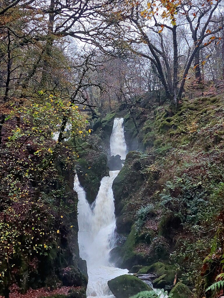 Waterfall,  Ambleside  by samcat