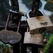 Padlocks on the railings at the waterfall,  Ambleside  by samcat