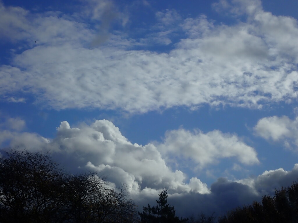 A selection of clouds! by speedwell