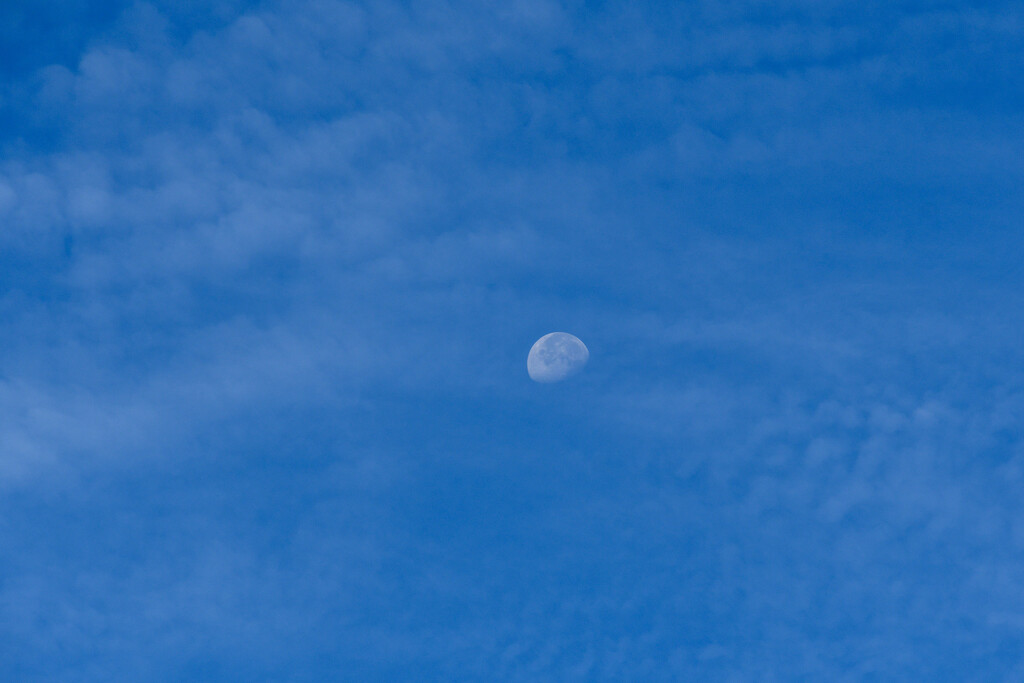 Blue moon by danette