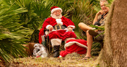 13th Nov 2022 - Santa Claus Was Taking a Break!