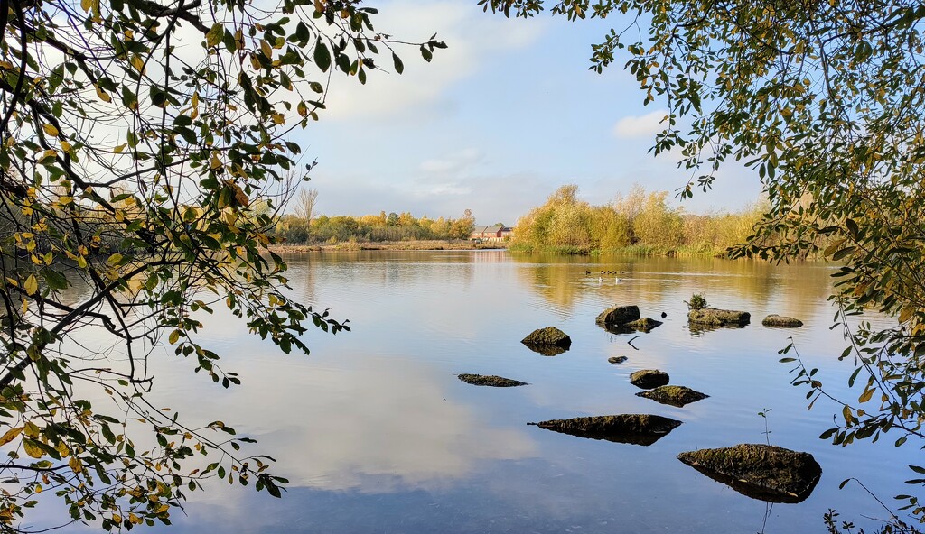Attenborough Nature Reserve  by boxplayer