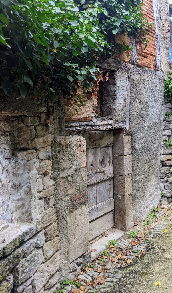 Ancient door  by ellida