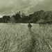 A walk through the fields by anitaw