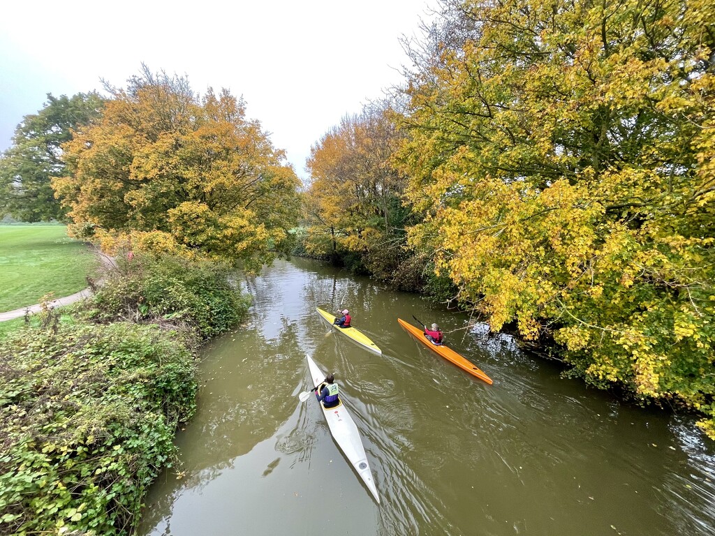 Paddling along the Medway  by jeremyccc