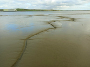 12th Nov 2022 - Low tide across the Thames at Erith - part 2