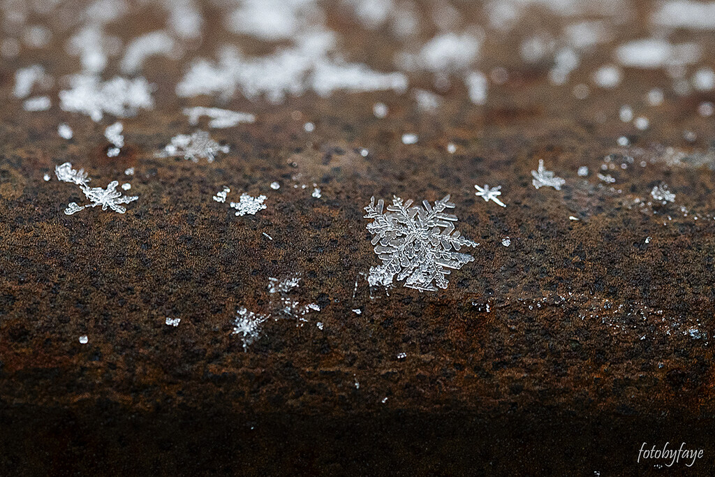 First snowflake by fayefaye