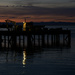 Heron on Dock with Light by theredcamera