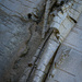 Birch Bark Detail by theredcamera