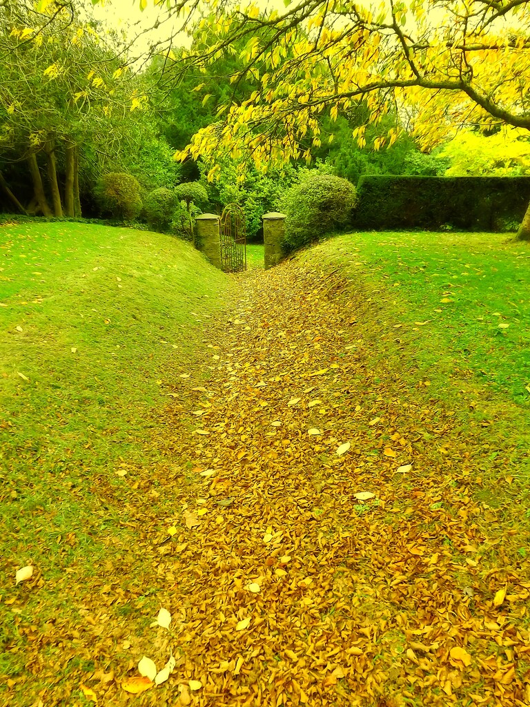 Autumnal Path by ajisaac