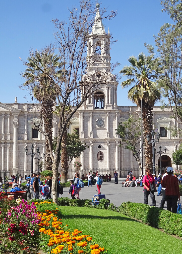 Arequipa's Cathedral on Plaza de Armas by marianj