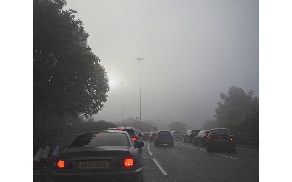 Foggy morning by delboy207
