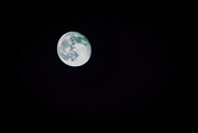 14th Nov 2022 - The Moon