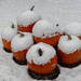 snow capped pumpkins by rminer