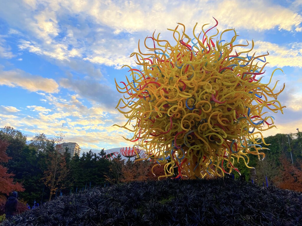 Chihuly Museum by 365canupp