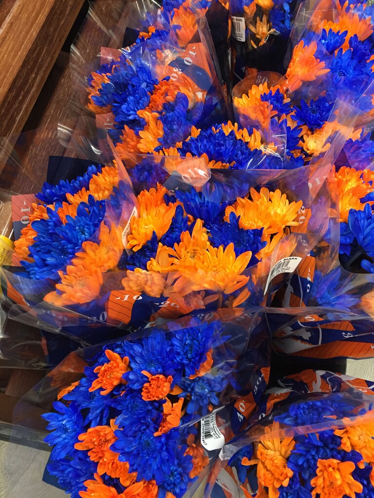 Blue and orange flowers at the supermarket by kchuk
