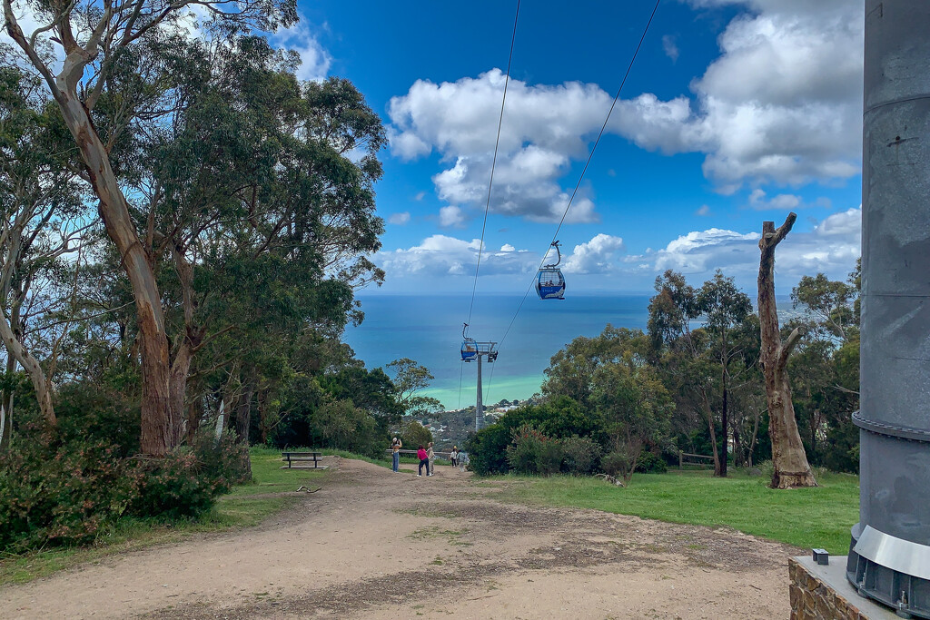 Cable Cars by briaan