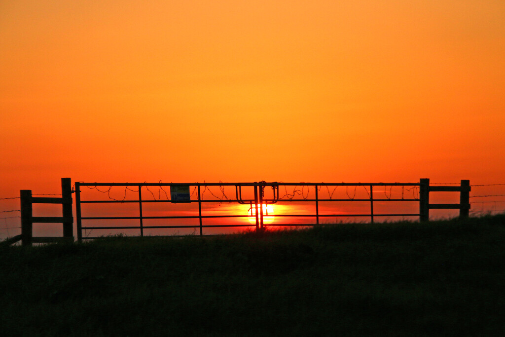 Sunset 2! by shepherdman
