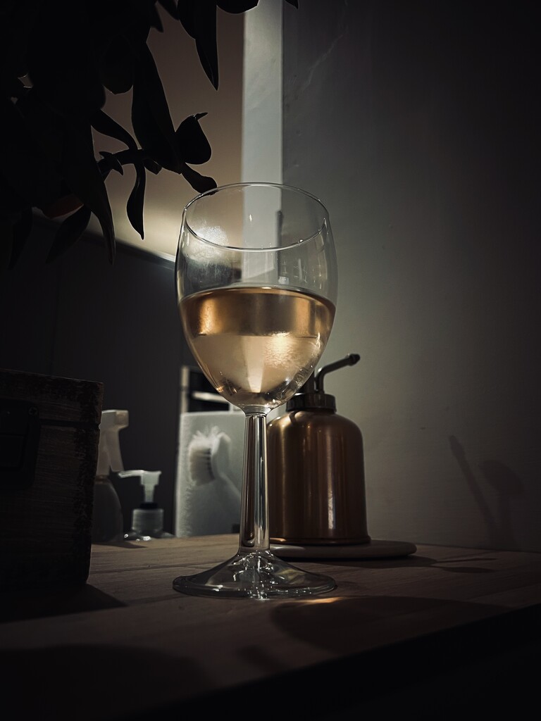 Wine Window by gaillambert