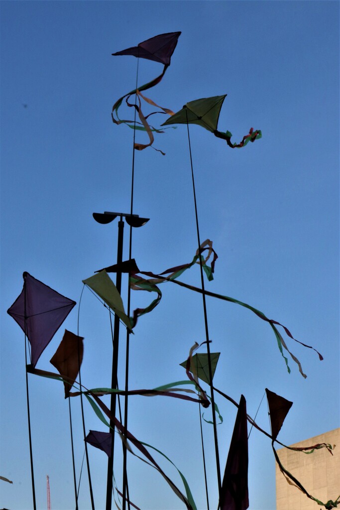 Kites going by - a rare site on London's street by 365jgh