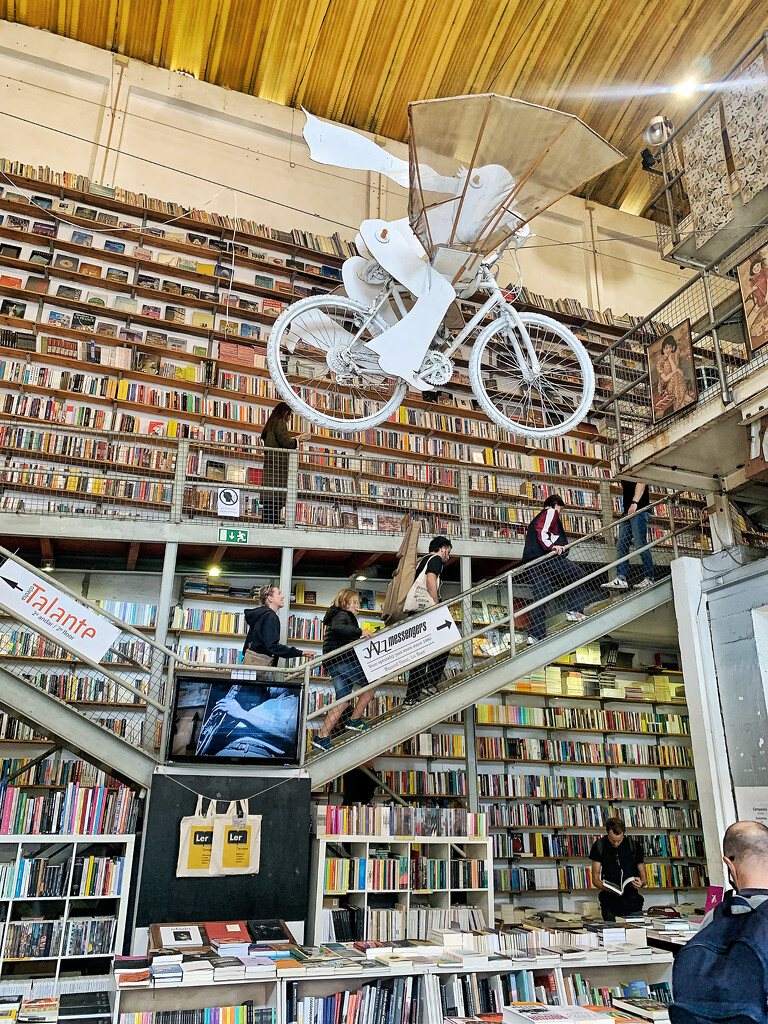 Library and bike.  by cocobella