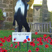 Remembrance Sunday, Brindle church by marianj