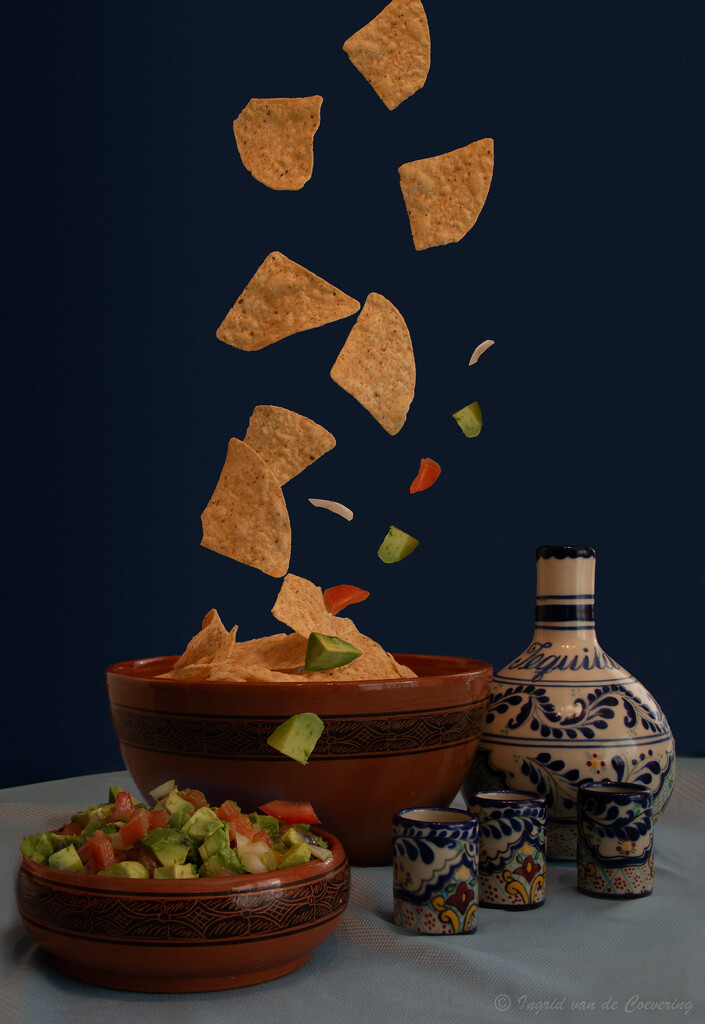 Flying chips and guacamole!  by ingrid01