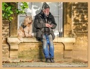 18th Nov 2022 - One Man And His Dog