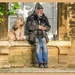 One Man And His Dog by carolmw