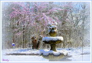 11th Mar 2022 - Redbud Tree in the Snow